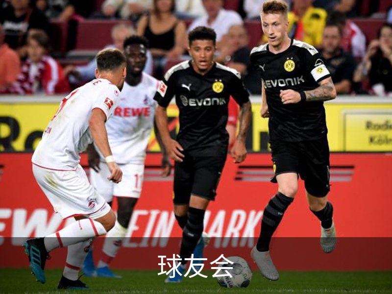 球友会· (中国)官方网站